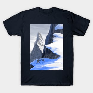 Flying kicks T-Shirt